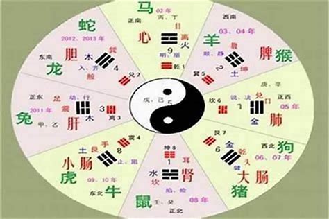 五行屬性字|汉字五行属性查询